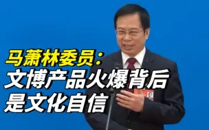 马萧林委员：文博产品火爆背后是文化自信