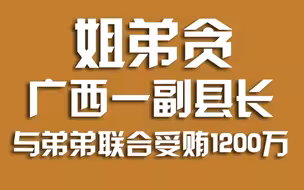 广西一副县长与弟弟联合受贿1200万