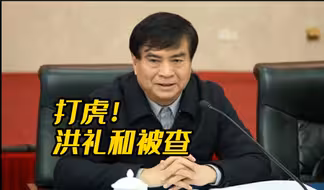 打虎！洪礼和被查