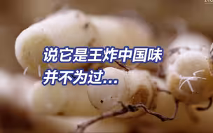 号称让整个东三省沉默！折耳根到底有啥魅（kě)力（pà)