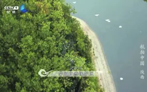 国宝不只大熊猫 还有它 朱鹮！
