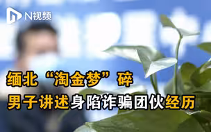 缅北“淘金梦”碎：男子现身讲述身陷诈骗团伙，欲逃走遭毒打！