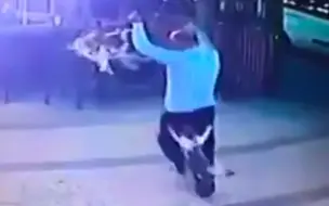 男子遛狗路遇护崽母猫 结果遭一顿狂抓乱挠，裤子都被扯掉了