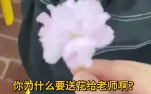 幼儿园小朋友清明节给老师送花，老师：当时心里就咯噔了一下