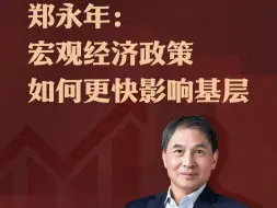 郑永年：宏观经济政策 如何更快影响基层