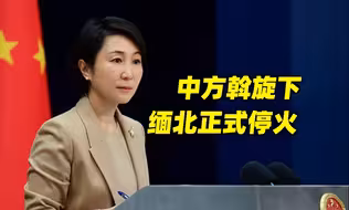 外交部：中方斡旋下，缅北正式停火