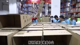 迎战“双11” ！金义综保区预计总单量270万