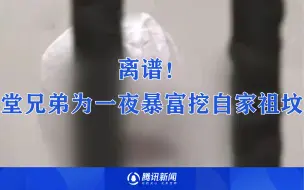 离谱！堂兄弟为一夜暴富挖自家祖坟：给人家挖不如我们自己挖