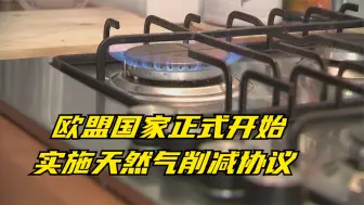 欧盟国家正式开始实施天然气削减协议