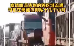 疫情阻滞货物的跨区域流通：司机在高速口排队十几个小时