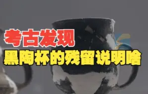 大米山楂野葡萄……黑陶杯的残留物分析说明了什么丨城子崖