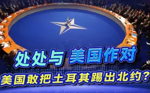 到底有何底气？屡屡与美对着干，为何美国还不敢将土耳其踢出北约