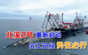 特朗普搞破坏没用！德国终于发出明确信号，誓与普京合作到底