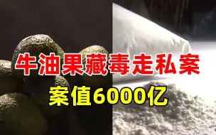 牛油果藏毒 韩国破获案值6000亿韩元毒品走私案