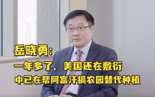 岳晓勇：一年多了，美国还在敷衍，中国已经在帮阿富汗搞农园替代种植，不再种植毒品作物，改种经济作物