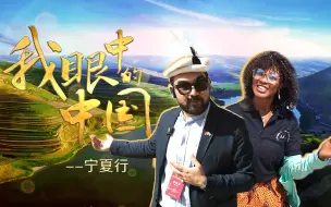 南非前外交官频频点赞！中国成功的秘诀被他们发现了