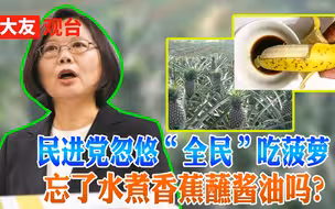 凤梨成了民进党的政治道具 蔡英文们趁机开展“政治动员”