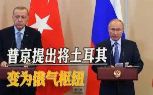 北溪管道被炸后，普京为俄罗斯天然气找到新枢纽，土耳其感到惊喜