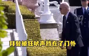 拜登拜访爱尔兰总统，被总统爱犬的狂吠声挡在了门外
