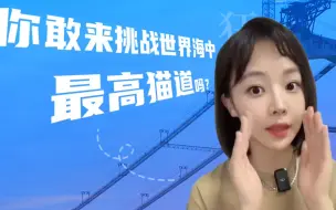 你敢来吗！“世界海中最高猫道”极限挑战赛招募啦