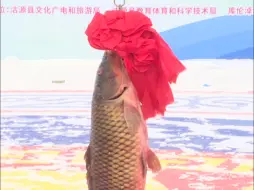 【捞起传承千年的冬日盛宴 这份“年年有鱼”请查收！】华北地区唯一大型冬捕活动！来库伦淖尔，“鱼”越千年，文化传承星火不灭！