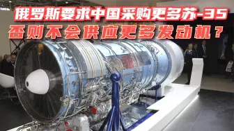 德媒炒作俄罗斯禁止向中国供应更多发动机，除非采购更多苏-35