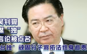 吴钊燮谋“独”言论被点名 “台独”顽固分子将依法终身追责