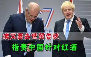 中国对红酒采取反倾销，澳洲威胁要去世贸告状，还“力挺”英国