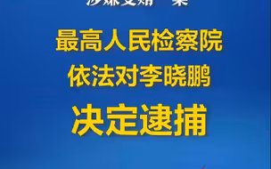 对李晓鹏决定逮捕！