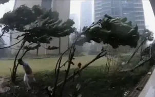 海口市民讲述台风“摩羯”登陆前景象：狂风吹掉玻璃门窗 楼体微晃