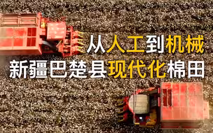 靠人工还是靠机械？叶尔羌河畔 CGTN带你看新疆收割万亩棉花田