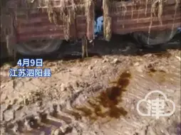 网友曝光一雪里蕻作坊露天晾晒污水横流，地里挖坑发酵、周围臭气熏天