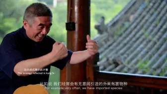《寻找功夫-三十六计》之围魏救赵