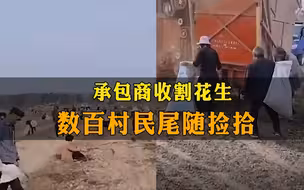 承包商收割花生，数百村民尾随捡拾，警察来了都叫不住...
