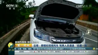 【第一时间】眼镜蛇爬进SUV 蛇：哥们，搭个顺风车行吗？