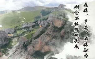 森林、草原、石林融为一体 则岔石林浑然天成
