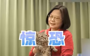 台当局为省事杀死154只猫，蔡英文称痛心，学者批“耗子哭猫”