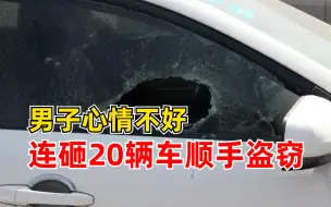 男子与妻子吵架后连砸20辆车：见车内有财物，顺手偷走