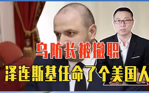 乌防长被撤职，泽连斯基任命了个美国人，土耳其被刺痛，立场要变