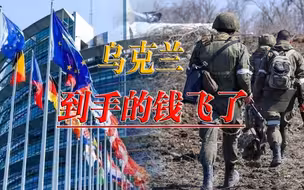 走个流程钱走没了，感谢的话已泼出去，泽连斯基瞬间懵了