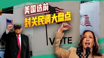 怎么当上美国总统？哈里斯给出答案：“捍卫民主”只要10美元