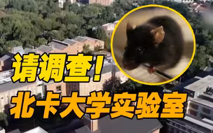 除了美军德特里克堡 这个实验室也该被调查！