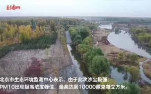 团结一心小树苗，“手牵手”劲阻风沙袭