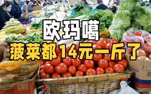 菠菜14元一斤！连续雨天“催”高菜价 绿叶菜价格涨幅最明显