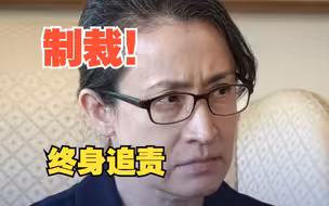 对“台独”顽固分子萧美琴实施制裁：终身追责！