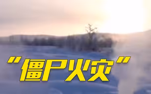 加拿大森林大火未灭，又发生极地特有“僵尸火灾”