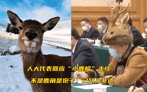 人大代表回应“小鹿帽”走红：不是鹿角是狍子，已列入非遗