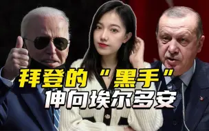 美政府的黑手，悄悄伸向土耳其，埃尔多安和普京的关系又要升温了