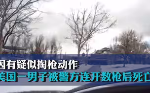 因有疑似掏枪动作 美国一男子被警方连开数枪后死亡