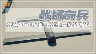 弹簧刀300巡飞弹，重量轻速度快，适用与各种战场环境